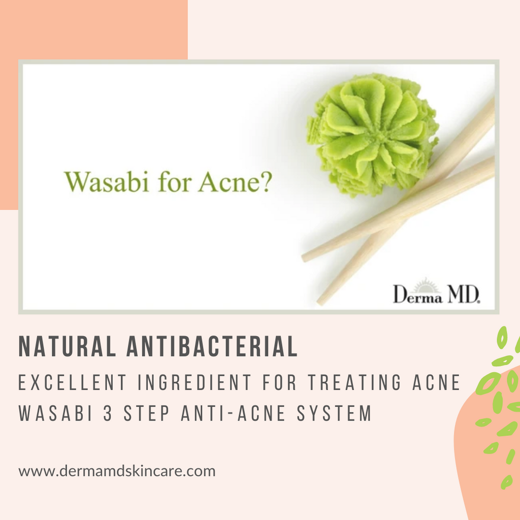 Wasabi for Acne?