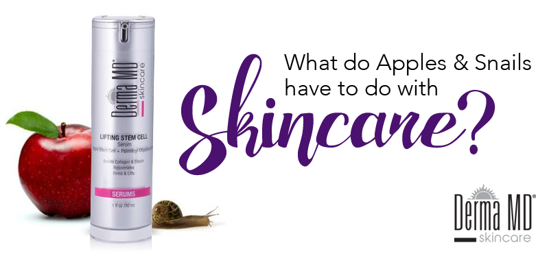 What do Apples and Snails have to do with Skincare?